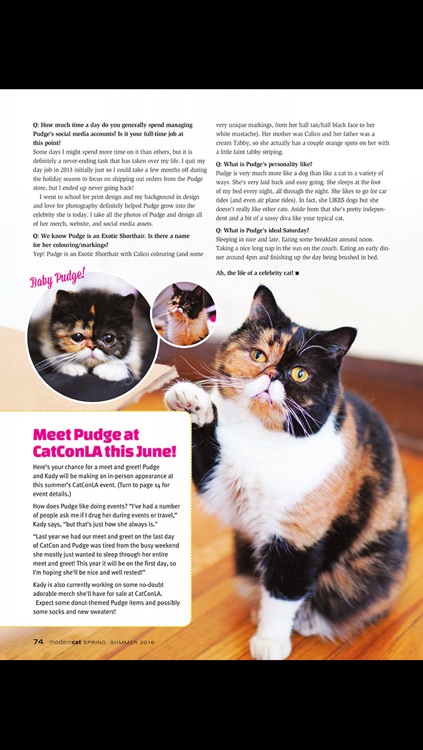 Modern Cat screenshot-4