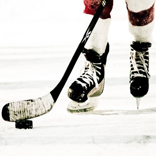 Hockey Photos & Videos - Learn about the great sport icon