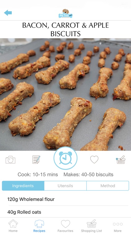 Dog Treat Delights
