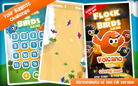 Flock of Birds Game Lite screenshot 3