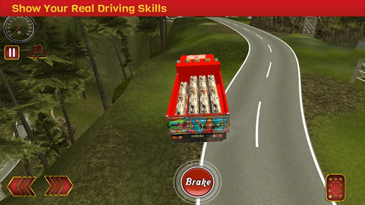 Truck Driving Hill Simulation