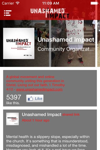 Unashamed Impact screenshot 3