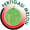 MARDI Fertigasi Melon