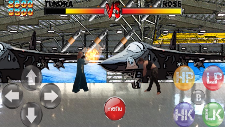 Fighter Arena screenshot-3