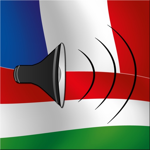 Magyar / Francia kifejezéstár - French / Hungarian phrasebook - Multiphrasebook