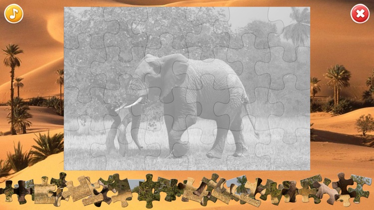 African Animals Puzzle