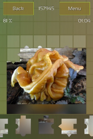 Mushrooms Puzzles screenshot 3