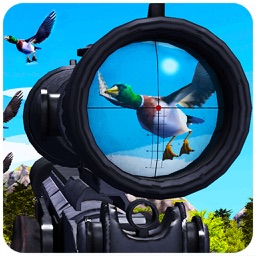 Pro Duck Hunting Season 3D