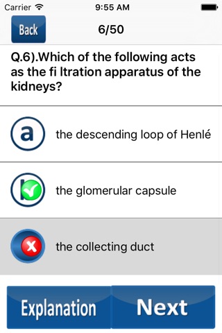 Physiology Quiz Questions screenshot 3