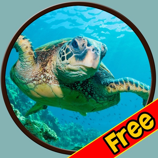 friendly turtles for kids - free icon