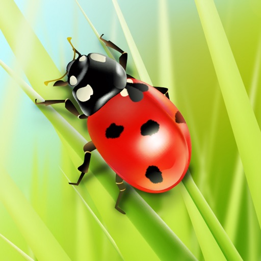 Ladybug - Counting Game Icon