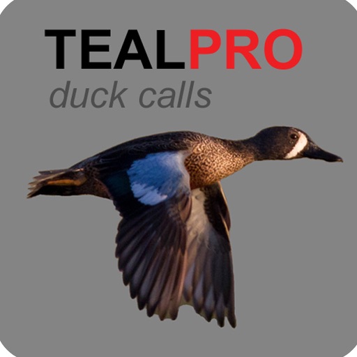 Duck Calls for Teal - TealPro - Duck Hunting Calls iOS App