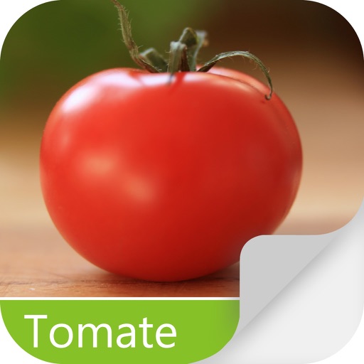 Pragas do Tomate Free