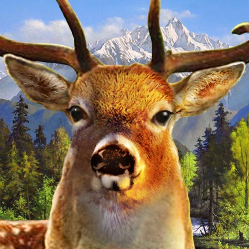 Jungle Deer Hunter Icon