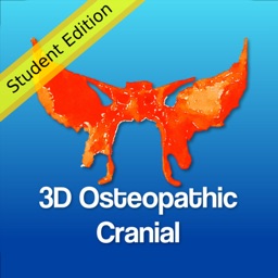 3D Osteopathic Cranial