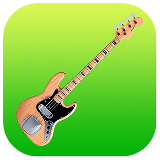 Bass Guitar Lessons - How To Play Bass Guitar By Videos icon