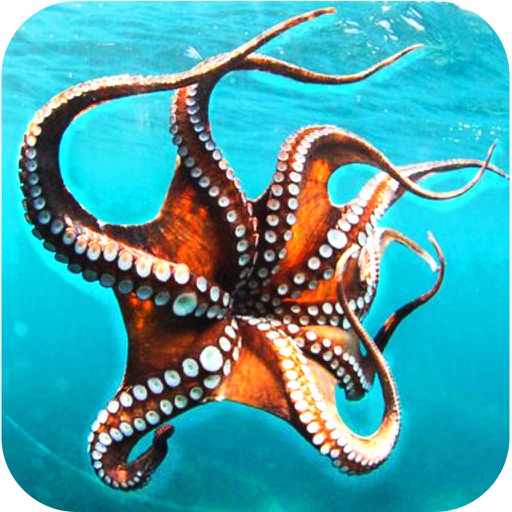 Under-Water Sea Creature Hunt Simulator Pro - Octopus,Shark And Crocodile Hunt icon