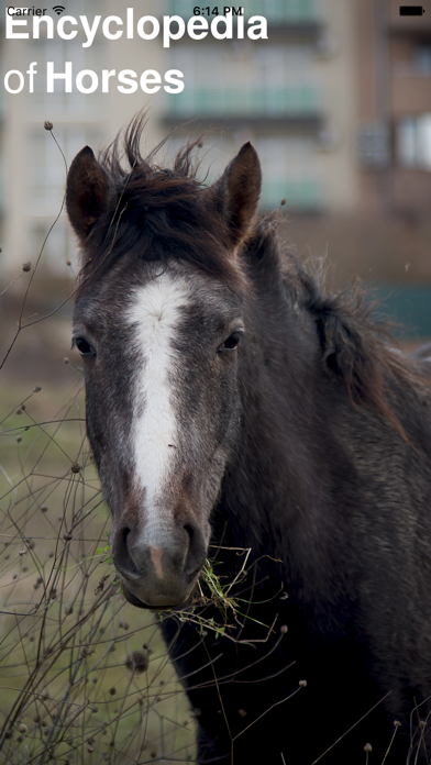 How to cancel & delete CHI Encyclopedia of Horses from iphone & ipad 1