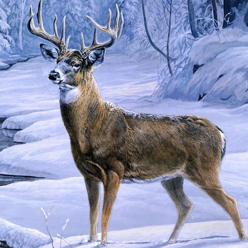 Deer Hunting 3D : Ice Age Icon