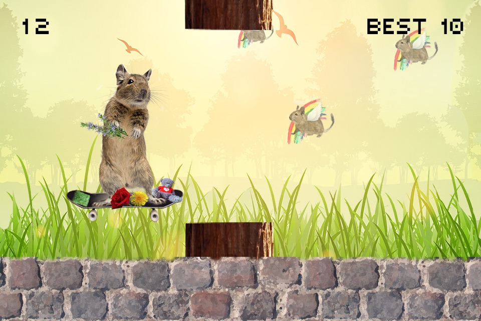 Degu Dash screenshot 3