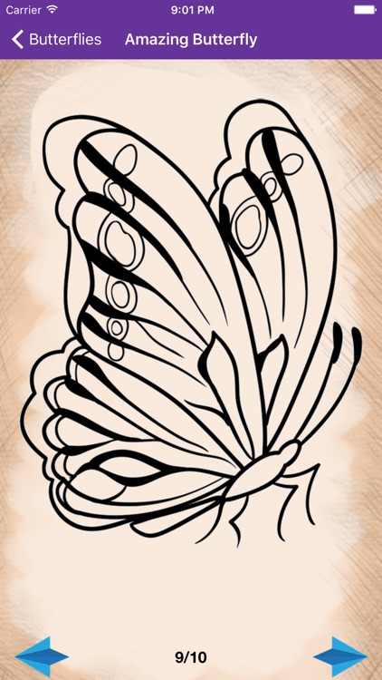 Artist Violet - How to draw Butterflies screenshot-3