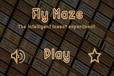 FlyMaze screenshot 2