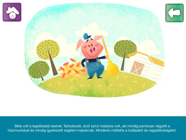 Mackó Koma screenshot-4