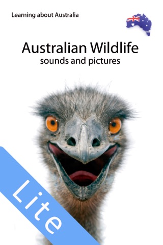 Aussie Wildlife Lite screenshot 4