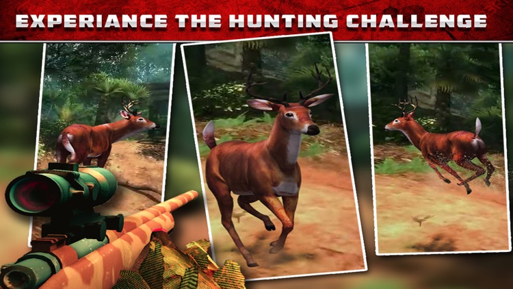 Deer Hunt Simulator
