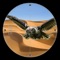Birds Hunter in Desert - Falcon,Dove,Crow Sharp Shooting Simulation 3D