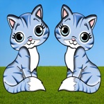 Animal Pairs - Match Animals