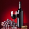 Wine Guide:Wine Tasting For Beginners