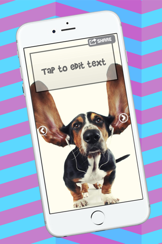 Funny Greeting Cards Creator – Send Humorous Ecards and Custom Invitations for Fun screenshot 4