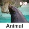 Baby Word Animal_KOR