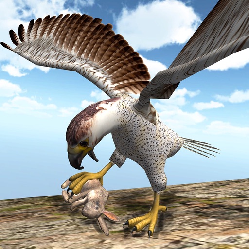 Real American Falcon Wild Sim iOS App