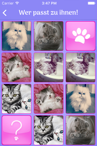 Cute Cats Memory Match Game screenshot 2