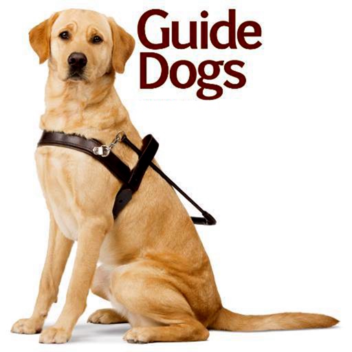 Guide Dogs for The Blind:Tips and Tutorial icon