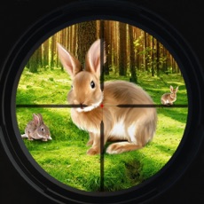 Activities of Rabbit Hunting Game