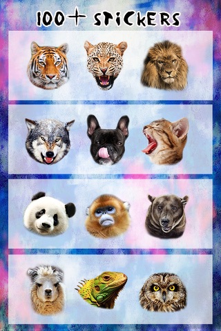 VividZoo - 动物贴纸 & 动物拼图 screenshot 4
