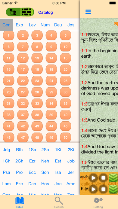 How to cancel & delete Bengali-English Bilingual Audio Holy Bible Offline from iphone & ipad 3