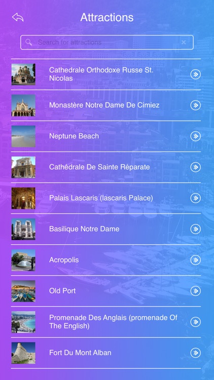 Nice Travel Guide