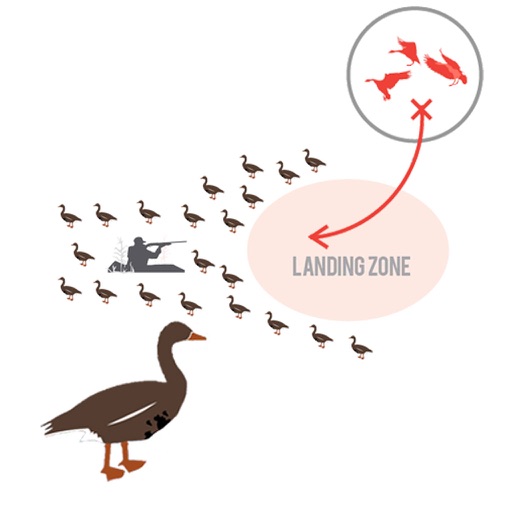 Specklebelly Goose Hunting Diagram Builder for Waterfowl Hunting Planning Icon