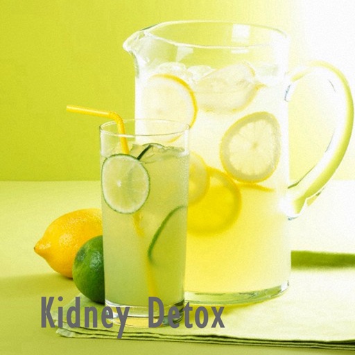 Kidney Detox for Beginners:Diet Guide and Healthy Recipes,Chronic Kidney Disease icon