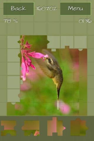Hummingbirds Jigsaw Puzzles screenshot 2