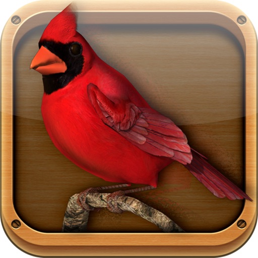 FeederVu - Birds of North America in 3D