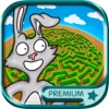 Animal maze game for kids - Solve the maze do the puzzle and paint the funny animals in the game Premium