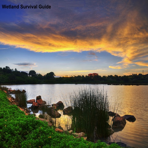 Wetland Survival Guide:Tips and Tutorial