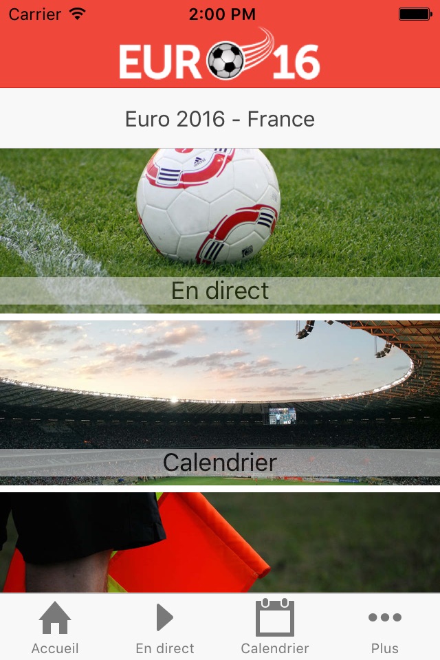 Euro Cup Soccer - Euro 16 France edition screenshot 2