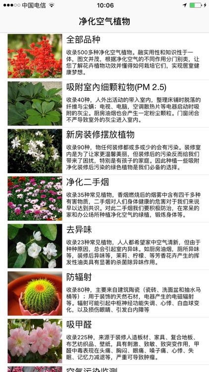 净化空气植物by Lili Ma