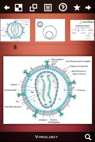 HIV/AIDS Virus screenshot 2